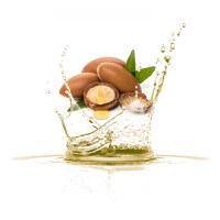 Λάδι Αργκάν